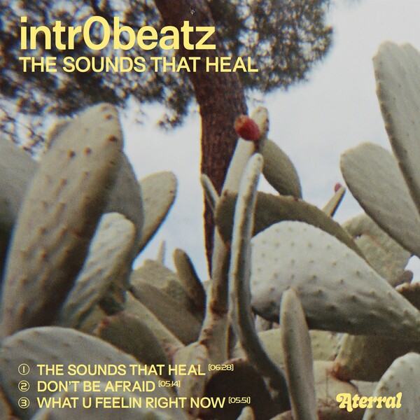 Intr0beatz - The Sounds That Heal on Aterral