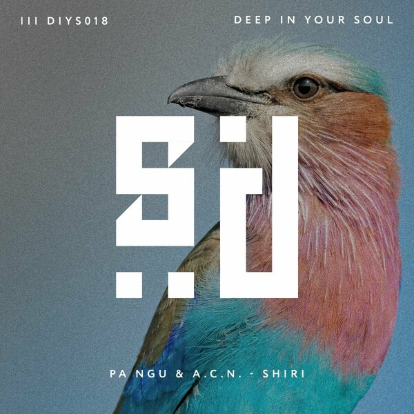 PA NGU & A.C.N. - Shiri on Deep In Your Soul