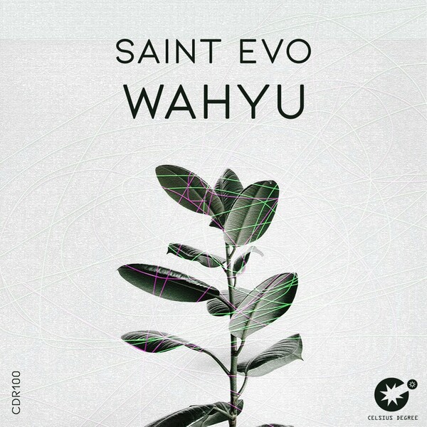 Saint Evo - Wahyu on Celsius Degree Records
