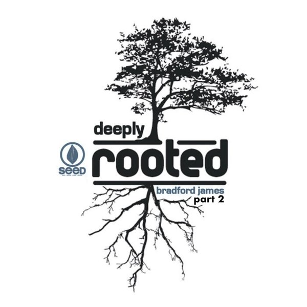 Bradford James - Deeply Rooted 2 on Seed Recordings
