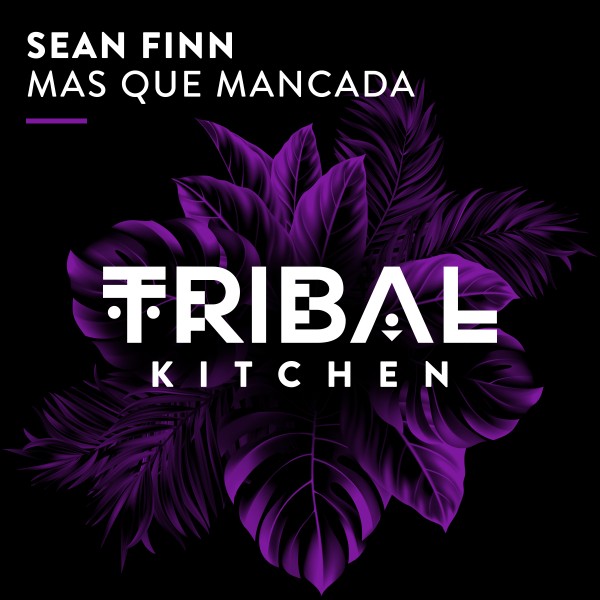 Sean Finn - Mas Que Mancada on Tribal Kitchen