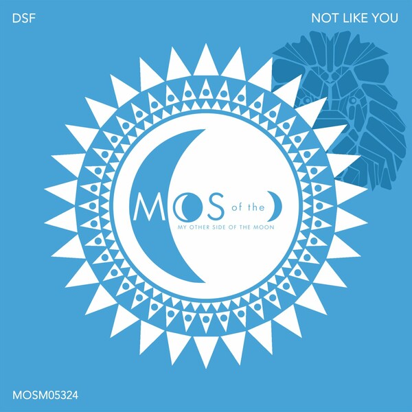 DSF - Not Like You on My Other Side of the Moon