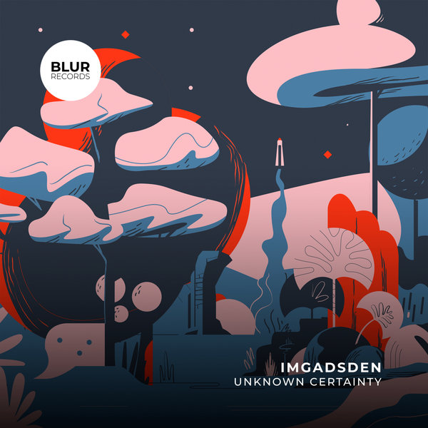 IMGADSDEN - Unknown Certainty on Blur Records