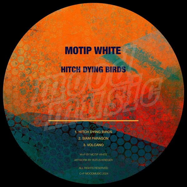 Motip White - Hitch Dying Birds on Moodmusic