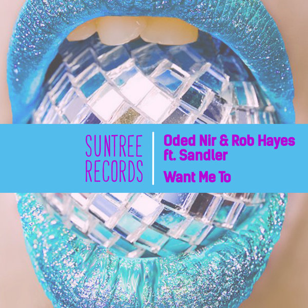 Oded Nir, Rob Hayes, Sandler - Want Me To on Suntree Records