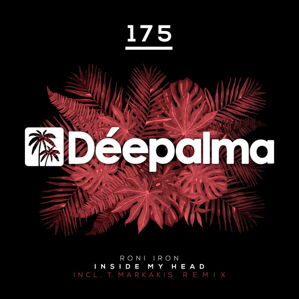 Roni Iron - Inside My Head (Incl. T.Markakis Remix) on Deepalma