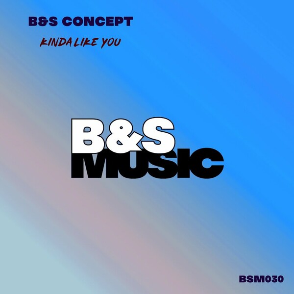 B&S Concept - Kinda Like You on B&S Music