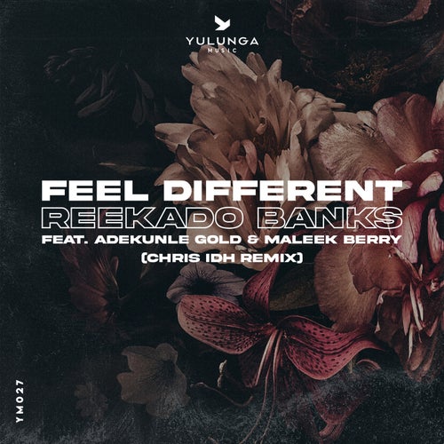 Reekado Banks - Feel Different on Yulunga Music
