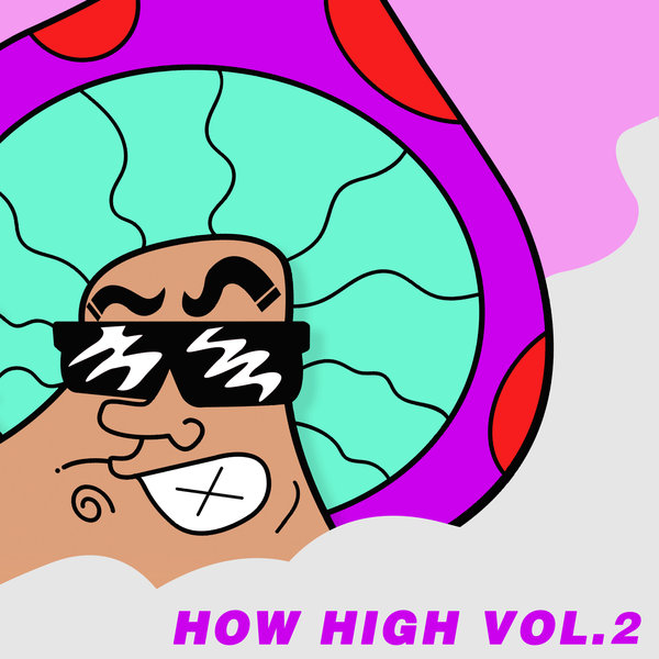 VA - How High Vol.2 on Robsoul