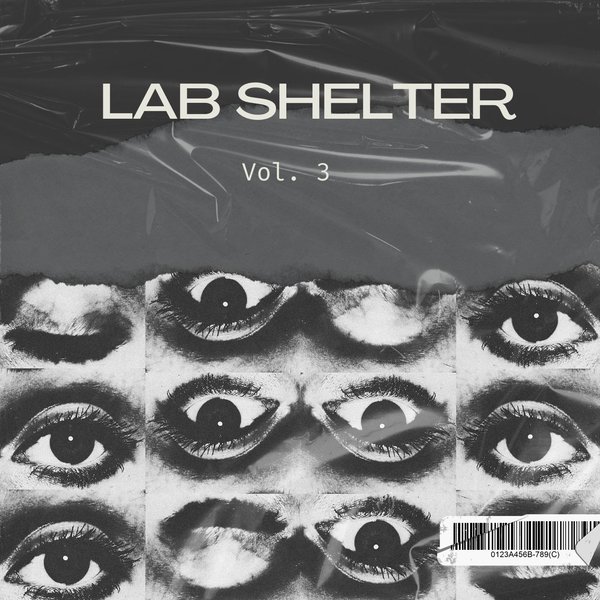 TIMMY REGISFORD - LAB SHELTER VOL 3 on Access Records