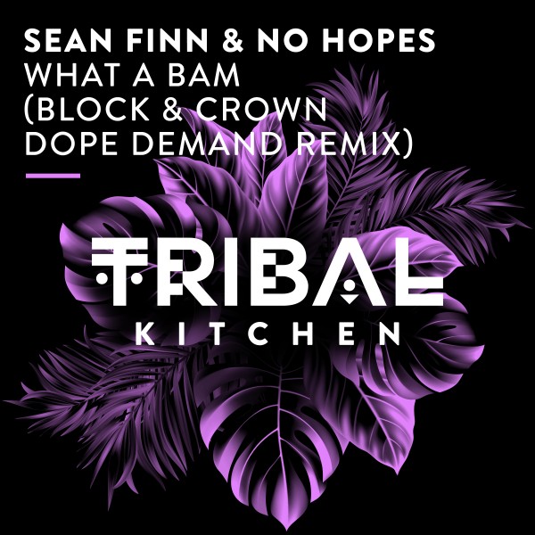 Sean Finn, No Hopes - What a Bam (Block & Crown Dope Demand Remix) on Tribal Kitchen