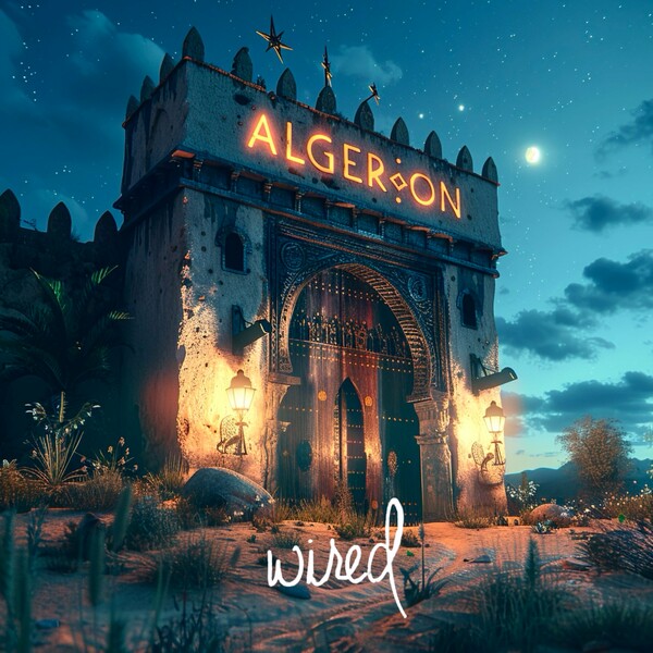 Voodoochild - Algerion on Wired