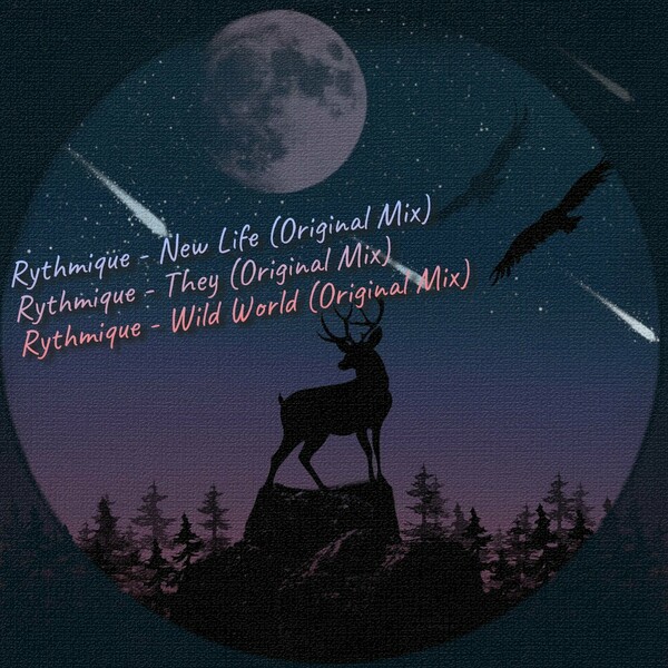 Rythmique - Wild World Part 2 on Rhythm Section
