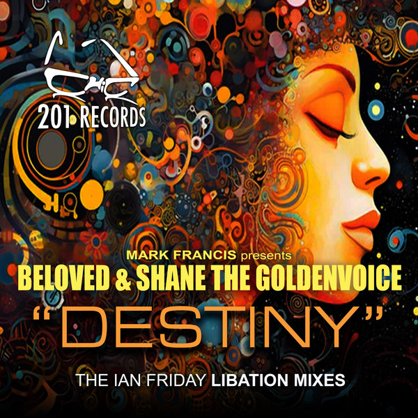 DJ Beloved, Shane the Golden Voice - Destiny (Ian Friday Libation Mix) on 201 Records
