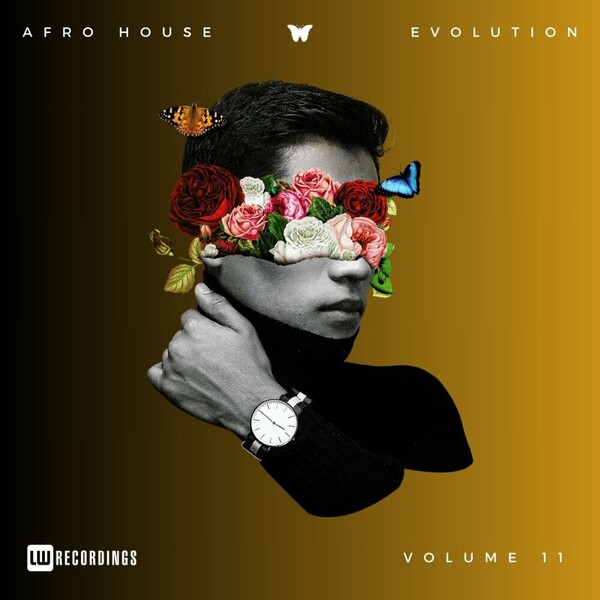 VA - Afro House Evolution, Vol. 11 on LW Recordings