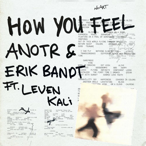 ANOTR, Leven Kali, Erik Bandt - How You Feel on NO ART