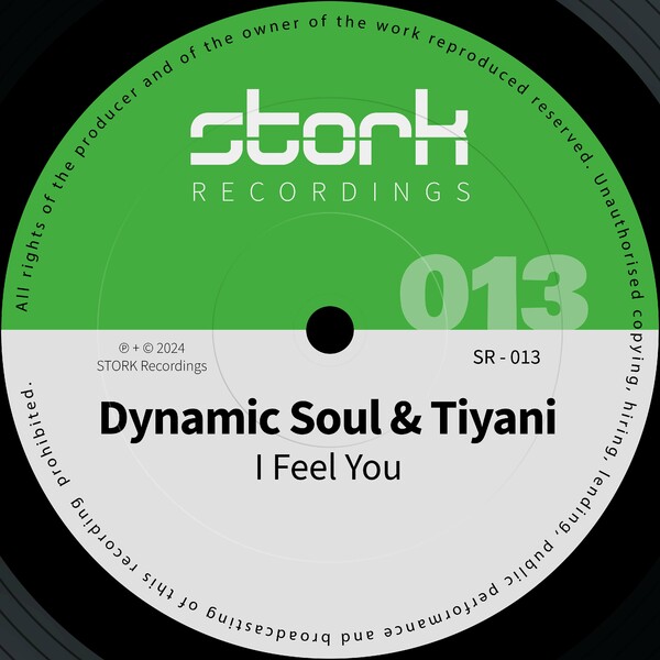Dynamic Soul, Tiyani - I Feel You on STORK Recordings