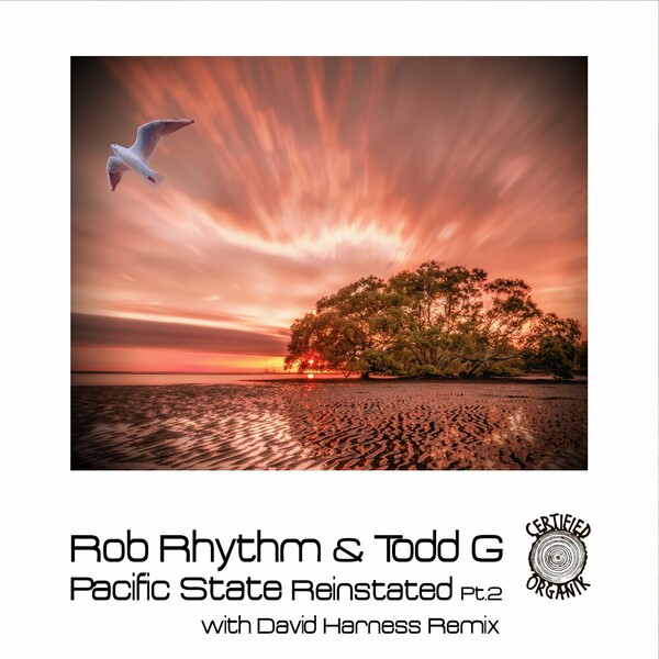 Todd G, Rob Rhythm - Pacific State Reinstated, Pt. 2 on Certified Organik Records