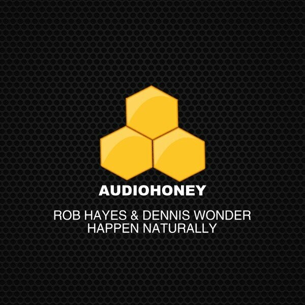 Rob Hayes, Dennis Wonder - Happen Naturally on Audio Honey