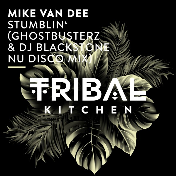 Mike Van Dee - Stumblin' (Ghostbusterz & DJ Blackstone Nu Disco Mix) on Tribal Kitchen