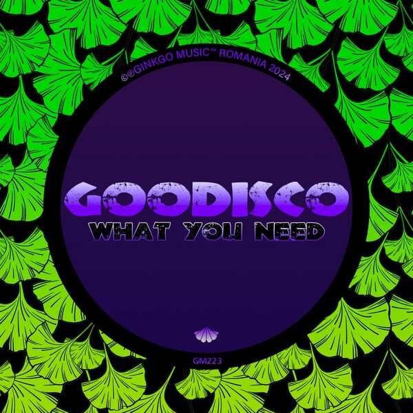 GooDisco - What You Need on Ginkgo Music
