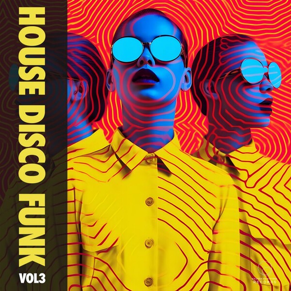 VA - House Disco Funk Vol 3 on Sound-Exhibitions-Records