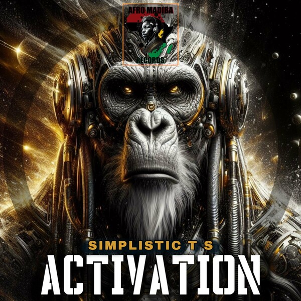 Simplistic T S - Activation on AFRO MADIBA RECORDS