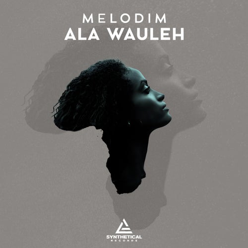 Melodim - Ala Wauleh on Synthetical Records