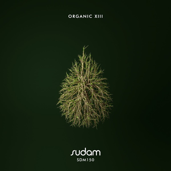 VA - Organic XIII on Sudam Recordings