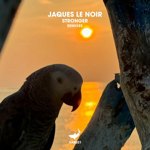 Jaques Le Noir - Stronger (Remixes) on caribia