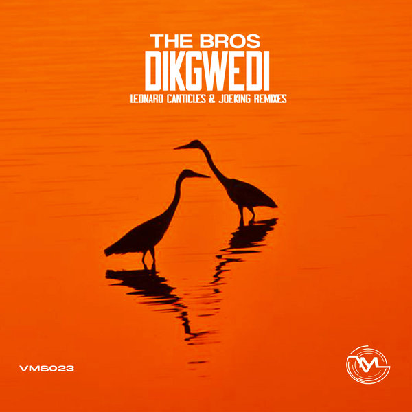 The Bros - Dikgwedi on VibeMusicShow