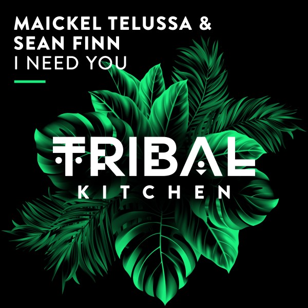 Maickel Telussa, Sean Finn - I Need You on Tribal Kitchen