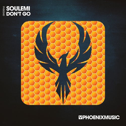 Soulemi - Don't Go on Phoenix Music Inc