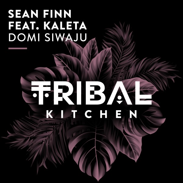 Sean Finn, Kaleta - Domi Siwaju on Tribal Kitchen