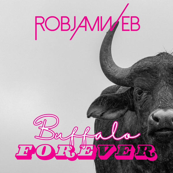 RobJamWeb - Buffalo Forever on Waxadisc Records