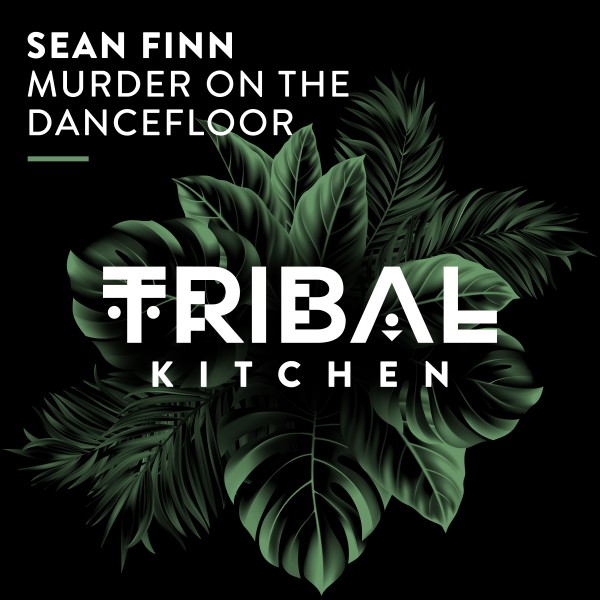 Sean Finn - Murder on the Dancefloor on Tribal Kitchen