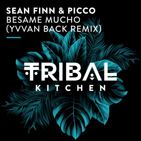 Sean Finn, Picco - Besame Mucho (Yvvan Back Remix) on Tribal Kitchen