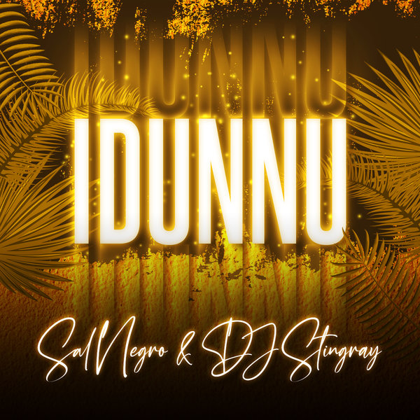 Sal Negro & DJ Stingray - Idunnu on Ayize Songaa Recodings,LLC