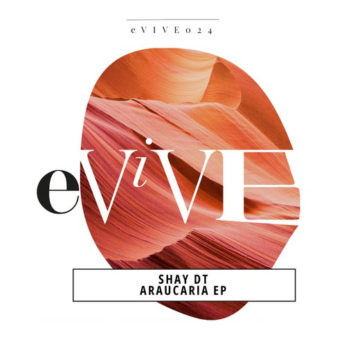 Shay DT - Araucaria EP on eViVE Records