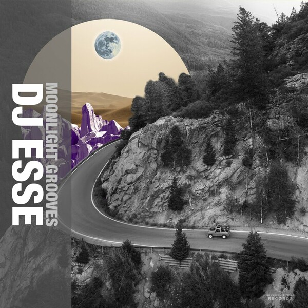 DJ Esse - Moonlight Groove on Sound-Exhibitions-Records