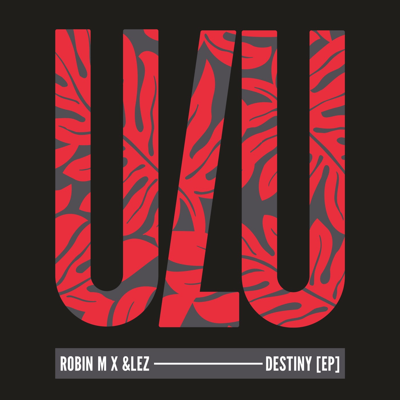 &lez & Robin M - Destiny on Ulu Records