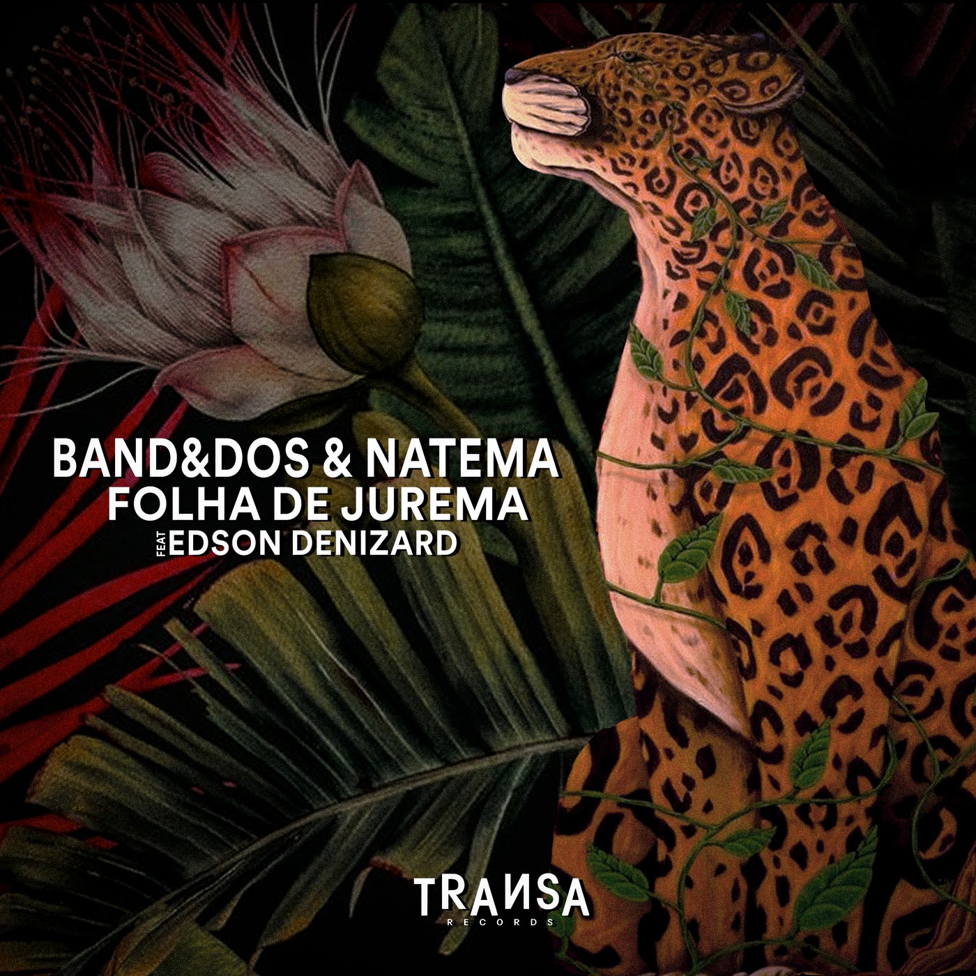 Natema, Band&dos - Folha de Jurema feat Edson Denizard on TRANSA RECORDS