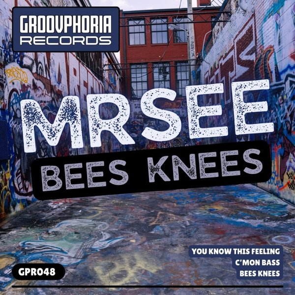 MrSee - Bees Knees on Groovphoria Records