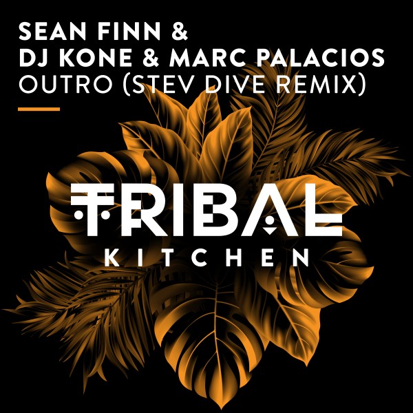 Sean Finn, DJ Kone & Marc Palacios - Outro (Stev Dive Remix) on Tribal Kitchen