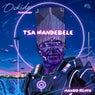 Cover Image for Tsa Ma Ndebele Manoo Extended Remix
