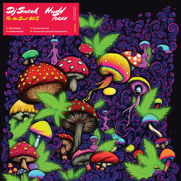 DJ Sneak – For The Soul, Vol. 2 on Hudd Traxx