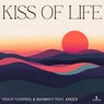 Cover Image for Kiss of Life Extended Mix