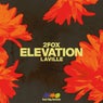 Cover Image for Elevation Original Mix