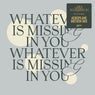 Cover Image for Whatever Is Missing In You Aeroplane Motion Extended Mix