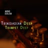 Cover Image for Trumpet Deep Original Mix